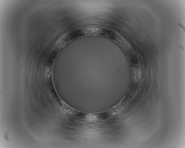 X0000097290701200802151415