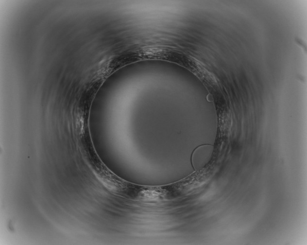 X0000097290703200802151415