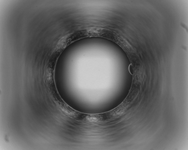 X0000097290706200802151415