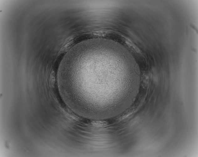 X0000097290707200802151415