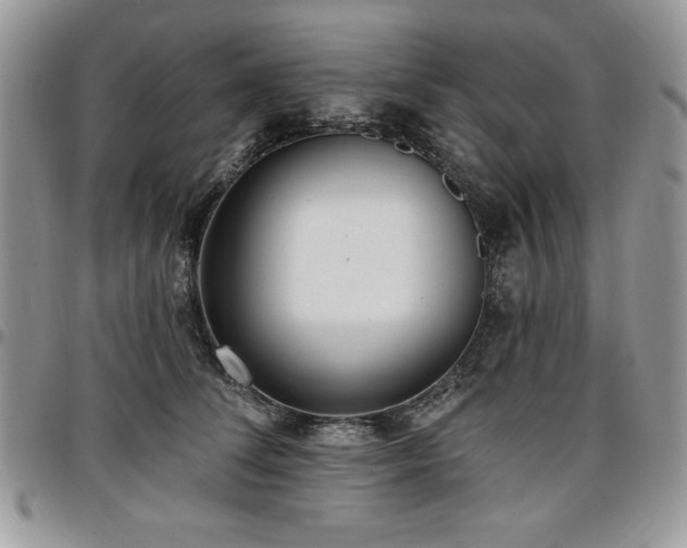 X0000097290708200802151415
