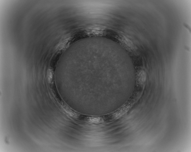 X0000097290709200802151415