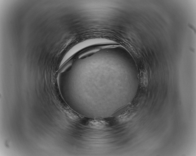 X0000097290712200802151415