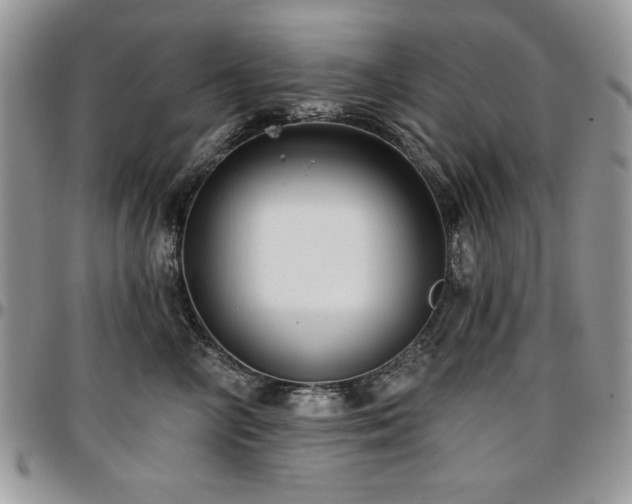 X0000097290714200802151415
