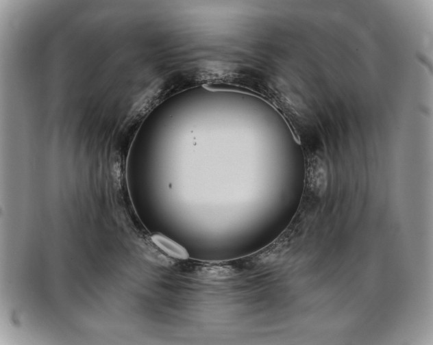 X0000097290716200802151415