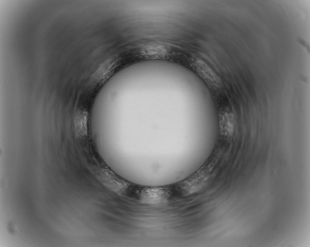 X0000097290717200802151415