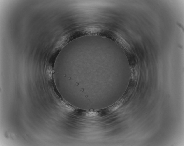 X0000097290718200802151415