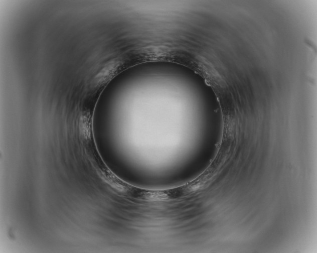 X0000097290719200802151415