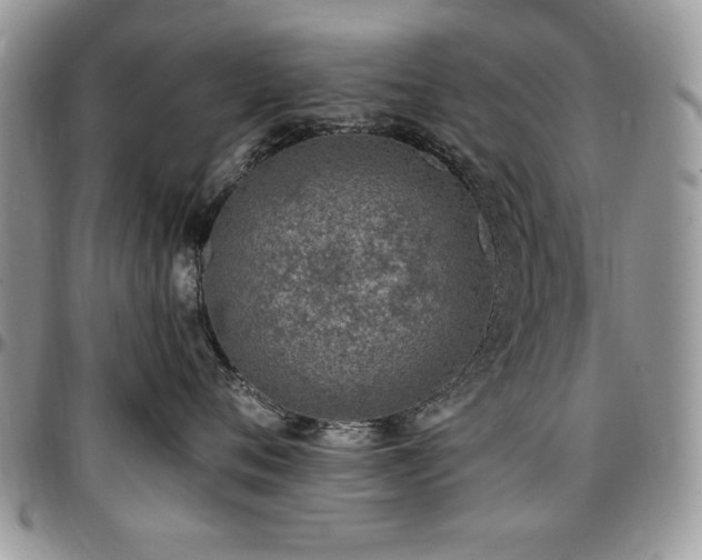 X0000097290720200802151415