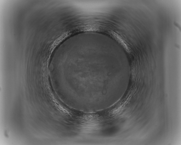 X0000097290721200802151414