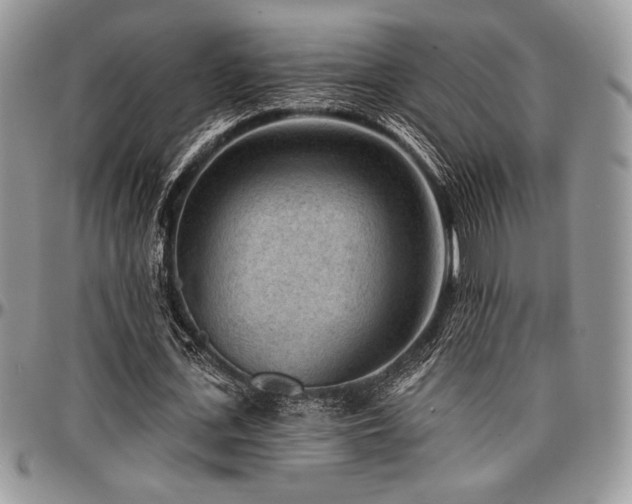 X0000097290723200802151414