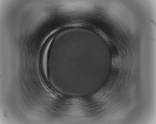 X0000097290724200802151414