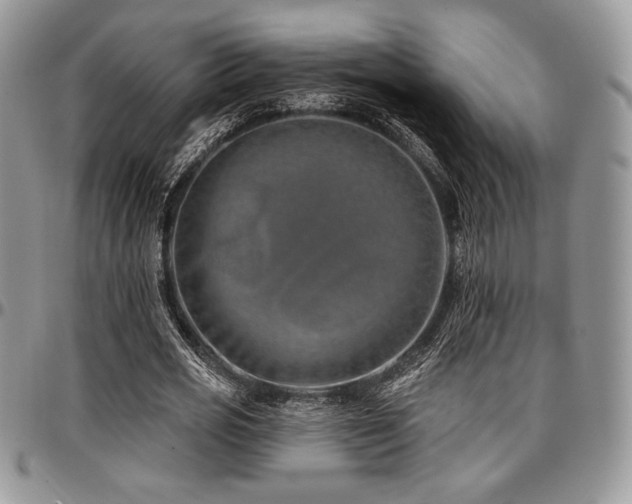 X0000097290725200802151414