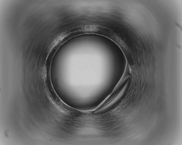 X0000097290726200802151414