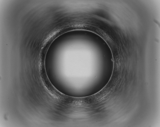X0000097290728200802151414