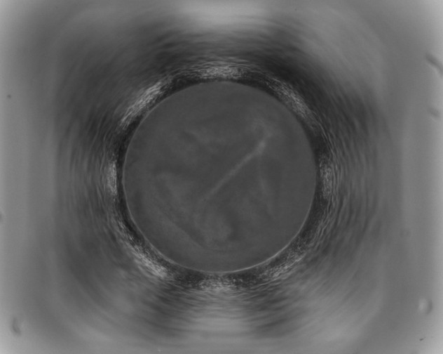 X0000097290729200802151414