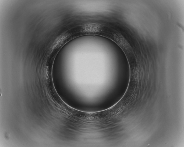 X0000097290731200802151414