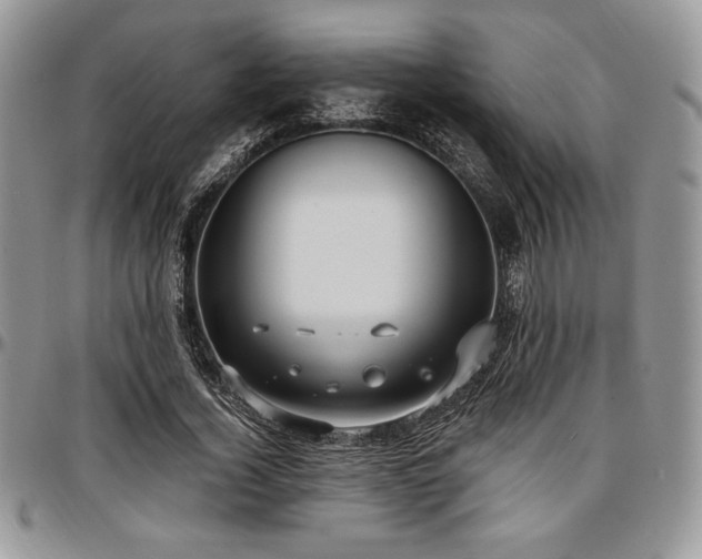 X0000097290732200802151414