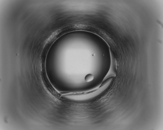 X0000097290734200802151414