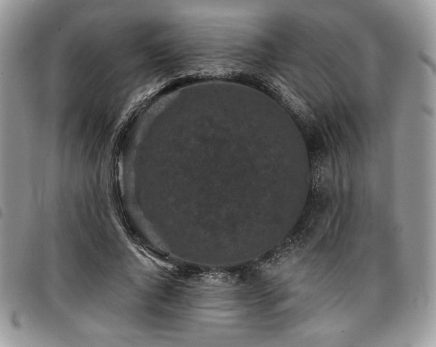 X0000097290736200802151414