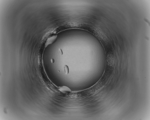 X0000097290740200802151414