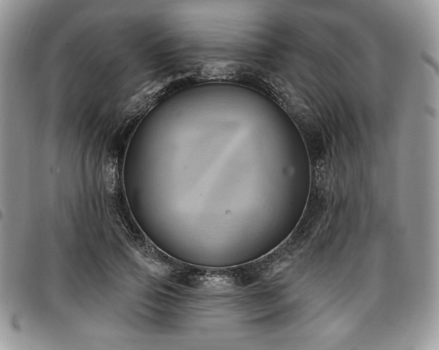 X0000097290741200802151414