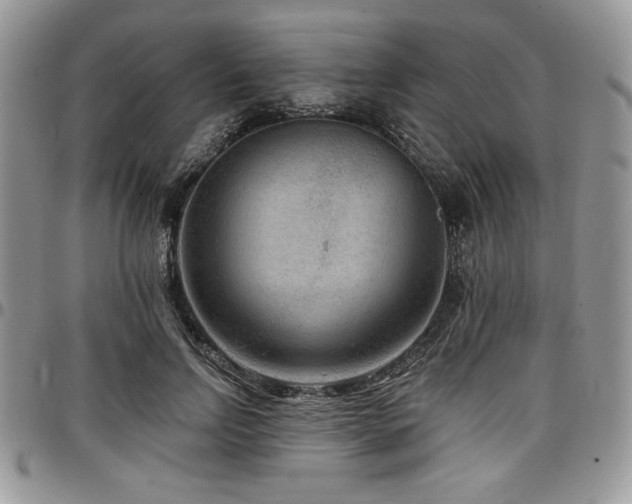 X0000097290742200802151414