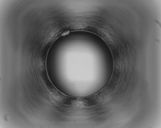 X0000097290743200802151414