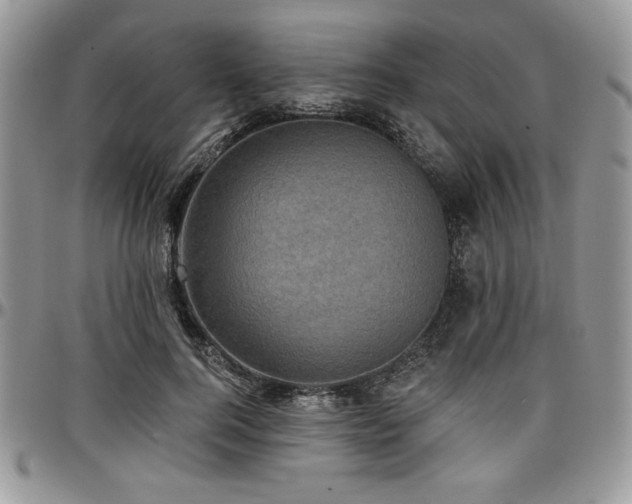X0000097290744200802151414