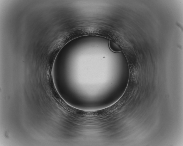 X0000097290746200802151414