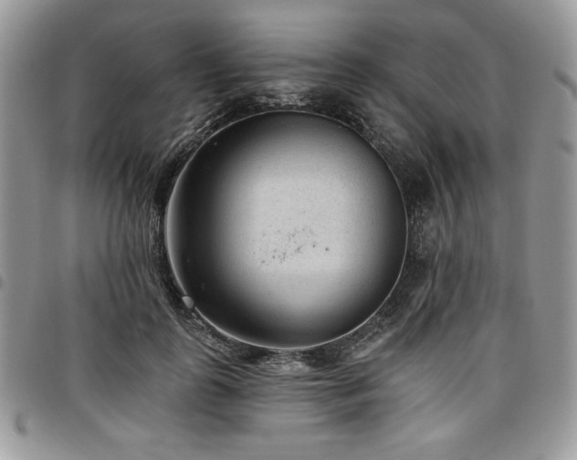 X0000097290747200802151415