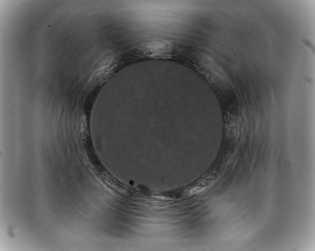 X0000097290748200802151415