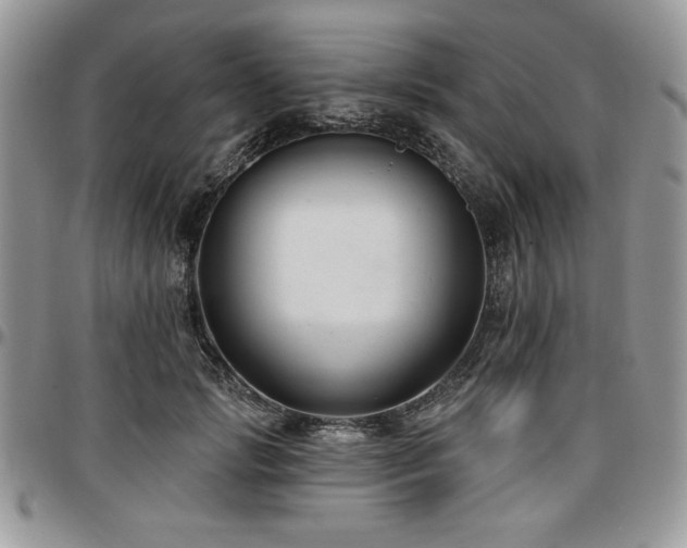 X0000097290749200802151415