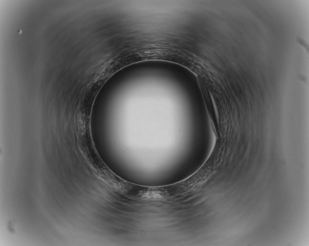 X0000097290751200802151415