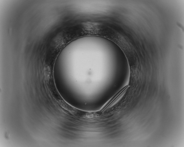 X0000097290752200802151415