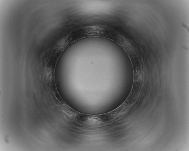 X0000097290753200802151415