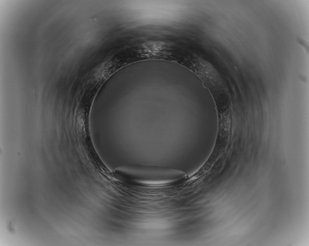 X0000097290754200802151415