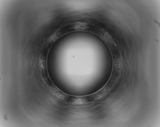 X0000097290755200802151415
