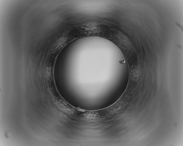 X0000097290756200802151415