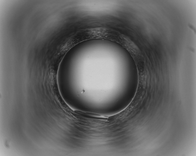 X0000097290757200802151415