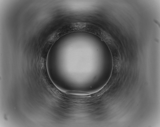 X0000097290758200802151415