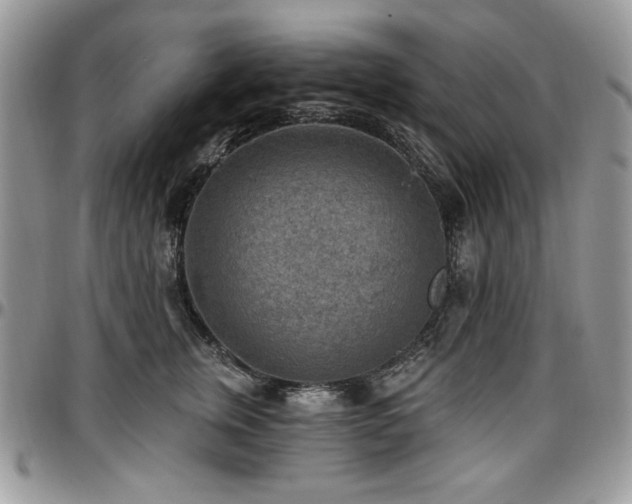 X0000097290759200802151415