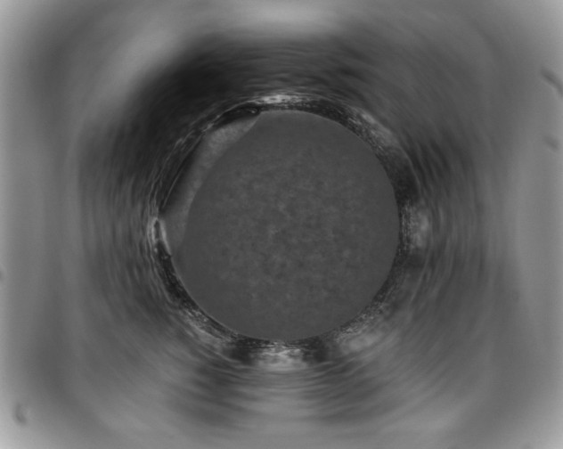 X0000097290760200802151415