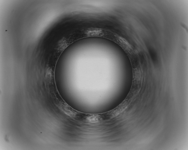 X0000097290761200802151415