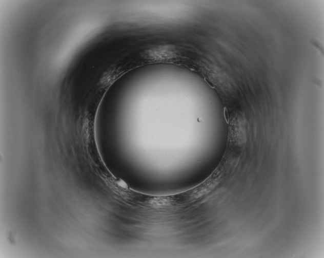 X0000097290762200802151415