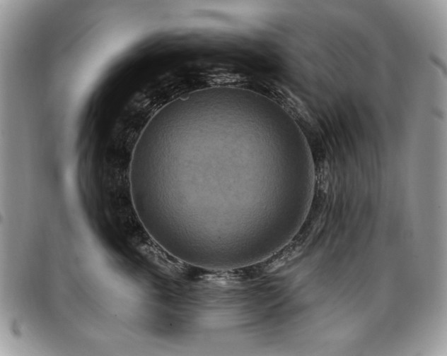 X0000097290763200802151415
