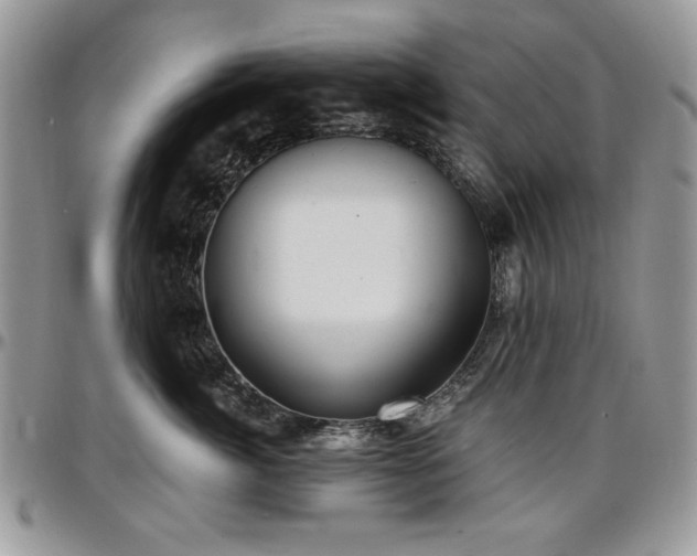 X0000097290764200802151415