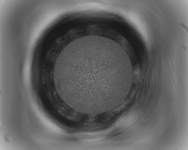 X0000097290765200802151415