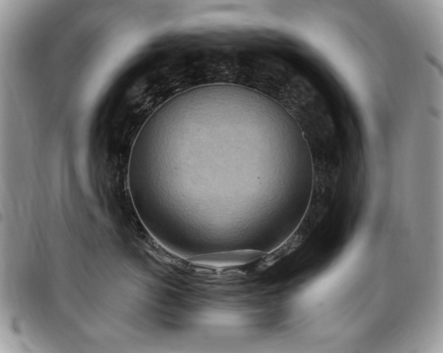 X0000097290766200802151415
