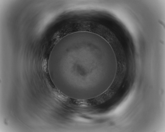 X0000097290767200802151415
